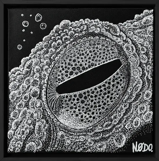 Toile Nodo : œil de poulpe dessiné point par point en blanc sur fond noir